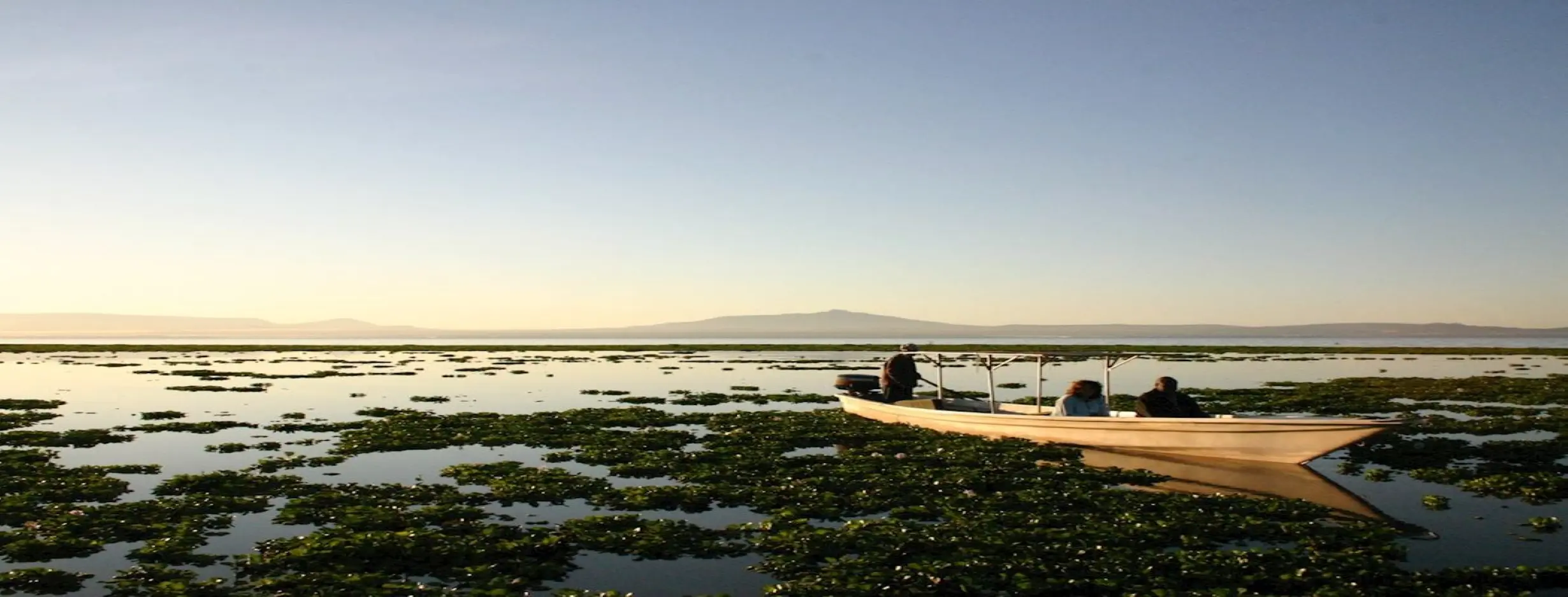 Image for Lake Safari